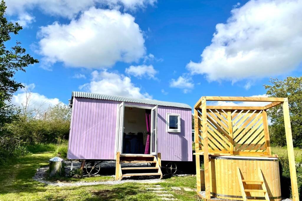 Lilac Tree Hut Tenby Eksteriør bilde