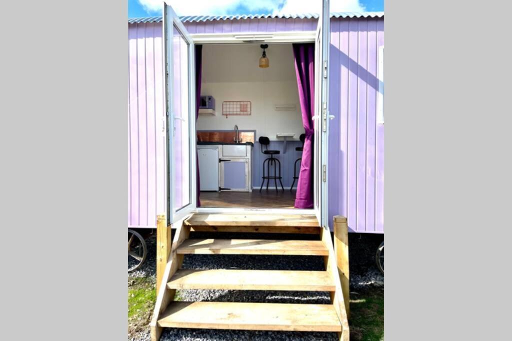 Lilac Tree Hut Tenby Eksteriør bilde